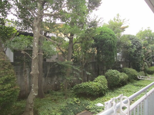 LANAI GRACE KUNITACHIの物件内観写真